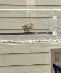 Wild Birds of Joy Window Bird Feeder with 4 Super Strong Suction Cups & Sliding Seed Tray, Large, Clear Acrylic, Easy Clean, Outdoor Bird Feeders, Outside View Up Close of Finch, Cardinal and Blue Jay 49 71O ZLN3dL