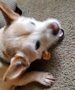 Pet 'n Shape Chik 'N Rice Dumbbells - All Natural Dog Treats, Chicken, 32 oz 2 Pound (Pack of 1) 44 71O uEGyGNL