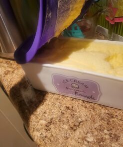 Dole Soft Serve Mix pineapple, 4.40 lbs 4.40 Pound (Pack of 1) 29 71O1EZs7EcL