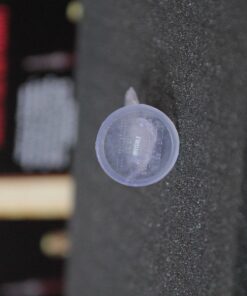 WizKids Dungeons & Dragons Icons of The Realms: Tyranny of Dragons Booster (8) D&D Minis 125 71O3wYAmTsL 1