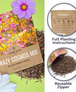 Cosmos Seeds Wildflower Mixture - Bulk 1 Ounce Packet - Over 5,000 Seeds - Pink, Yellow, Orange, Red, Purple and White Mixed Species! 1 Ounce Pouch 33 71O4Wyl0LVL