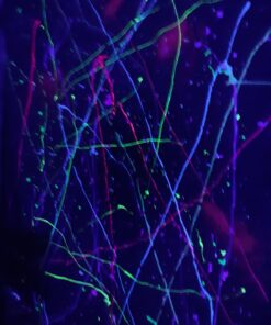 OPPSK Black Lights, 54W 18LEDs Powerful Black Light Bar Glow in The Dark Party Supplies for Blacklights Party Body Paint Birthday Halloween Christmas Stage Lighting 41 71O6SQr3uL