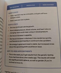 We're Pregnant! The First Time Dad's Pregnancy Handbook 45 71O76T UH2L