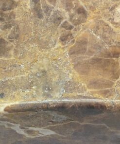 ProCaliber Products Granite & Marble & Quartz & Cultured Marble Chip & Nick Repair and Fill Kit for Countertops, Sinks, Tubs and Tile - Clear LCA Flowable Nano-Gel 47 71O8I2CPbnL