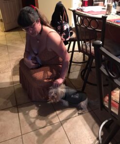 ThunderShirt Classic Dog Anxiety Jacket, Heather Grey, Small 44 71OC2wmiUlL