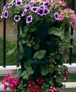 Mr. Stacky 1305-HG 5-Tier Stackable Strawberry, Herb, Flower, & Vegetable Planter - Vertical Gardening Indoor / Outdoor Stacking Garden Pots Hunter Green, 22.5 Quarts 32 71OGFKvNeqL