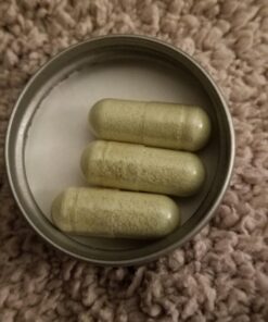 Vitamin Bounty Pro-Daily Probiotic - 13 Probiotic Strains, Gut Health, Digestive Health, Including Lactobacillus Acidophilus, Probiotic for Women and Men (Pro-25 Probiotics) Pro-25 Probiotics 35 71OHdH55NbL