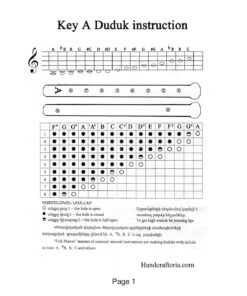 SALE - Professional Armenian DUDUK instrument Handmade From ARMENIA, leather case, 2 Pro reeds, Playing Instruction - Apricot Wood in Key A - Flute Oboe Balaban Woodwind 12 71OK28NPO4L