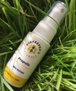 Propolis Throat Spray by Beekeeper's Naturals - 95% Bee Propolis Extract, Natural Immune Support & Sore Throat Relief - Antioxidants, Keto, Paleo, Gluten-Free (1.06 oz)(Pack of 1) Adult Propolis 1 Pack 1.06 Fl Oz (Pack of 1) 37 71OLPlpXpL