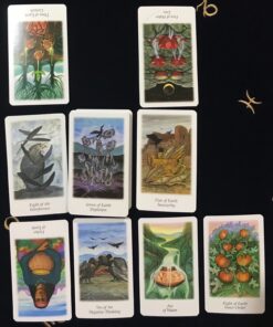 Vision Quest Tarot 40 71OPKFjFDsL