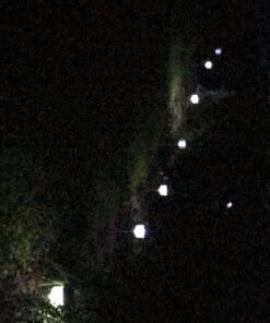 Signature Garden Premium Stainless Solar Garden Lights - Super-Bright 15 Lumens - Perfect Neutral Design; Makes Garden Pathways & Beds Look Great - Easy NO-Wire Installation; Water-Resistant Stainless Steel Silver 6-pack 44 71OPsRJch5L 2