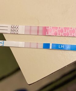 Pregmate 20 Ovulation Test Strips Predictor Kit (20 Count) 20 Count (Pack of 1) 20 71OQkvFCe9L