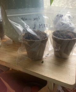 Plant Theatre Bonsai Tree Kit - Indoor Plant Growing Kit w/ 3 Mini Bonsai Seed Packs, 6 Pots, 6 Peat Discs and 6 Propagator Bags - Gardening Gifts for Men, Women and Room Decor - Crafts for Adults 55 71OU UPVJL