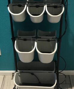 Watex Mobile Green Wall (Double Frame, Spring Bouquet), BPA Free Planters Double Frame 24 71OVlqbCebL