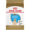 Royal Canin Labrador Retriever Puppy Breed Specific Dry Dog Food, 30 lb. bag 8 71OVzJ5k7vL