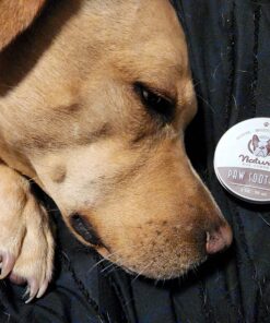 Natural Dog Company Paw Soother Balm, 2 oz. Tin, Dog Paw Cream and Lotion, Moisturizes & Soothes Irritated Paws & Elbows, Protects from Cracks & Wounds 2oz Tin 35 71OW2dTr5RL