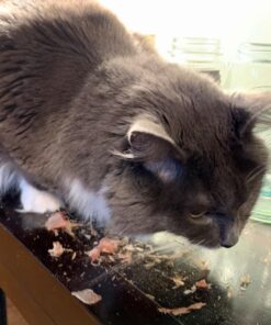 Cat-Man-Doo Extra Large Dried Bonito Flakes Treats for Dogs & Cats - All Natural High Protein Flakes - 4oz. / 112g Bag 4 Ounce (Pack of 1) 41 71OXHQJHhZL 1