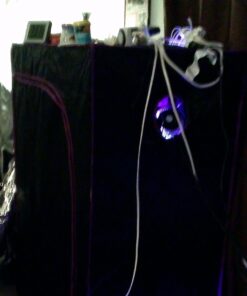 Woods 50006 50006WD Indoor 24-Hour Mechanical Outlet Timer,30 Minute Intervals, Ideal for Automation Holiday Decorations and Christmas Lights, 2 Pack, 2-Pack, Multi, 2 21 71Oa0QYzvvL