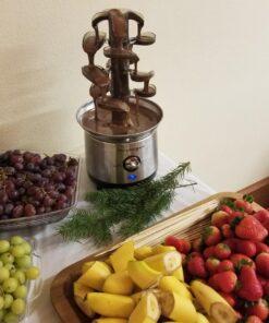 Nostalgia 4 Tier Electric Chocolate Fondue Fountain Machine for Parties - Melts Cheese, Queso, Candy, and Liqueur - Dip Strawberries, Apple Wedges, Vegetables, and More - 32-Ounce - Stainless Steel Original 29 71OaVeMSjkL