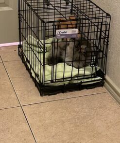 MidWest Homes for Pets Newly Enhanced Single Door iCrate Dog Crate, Includes Leak-Proof Pan, Floor Protecting Feet , Divider Panel & New Patented Features XX-Small - 18" L x 12" W x 14" H 34 71OatQViL5L