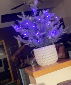 RTGS Products 30 LEDs Lights Indoor and Outdoor 9.5 Feet String Lights, Fairy Lights Battery Powered for Patio, Bedroom, Holiday Decor, etc (Pink) Pink 28 71OcuvdrLdL