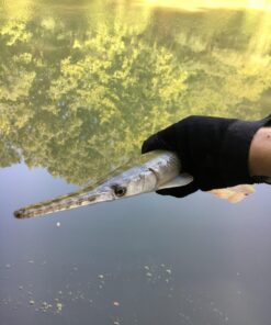 Ugly Stik GX2 Spinning Reel and Fishing Rod Combo 40 Size Reel - 6'6" - Medium Heavy - 1pc 42 71Odpt01NRL