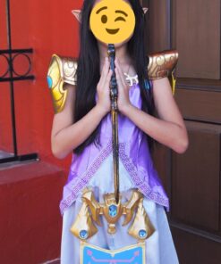 Disguise Zelda Deluxe Legend of Zelda Nintendo Costume Medium/7-8 12 71OezyEAPvL