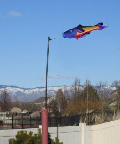 In the Breeze Rainbow Fishy Trout 48 Inch Windsock - Fun Fish Hanging Decoration - Fade Resistant Material for Long Lasting Bright Colors,4116 48" Rainbow Fish 15 71OhDaf93gL