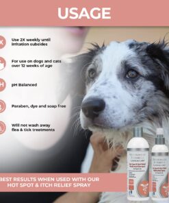 Veterinary Formula Clinical Care Hot Spot & Itch Relief Medicated Shampoo for Dogs and Cats 16oz – Helps Alleviate Sensitive Skin, Scratching, and Licking of Coat 26 71OhOCBqgkL