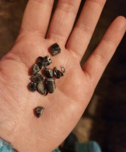 Resco Deluxe Dog Nail Clippers, Original Pet Nail Trimmer, Made in USA, Large, Yellow 18 71Ol6kDCfJL