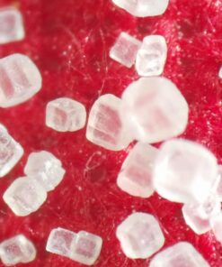 Andonstar 5 inch Screen 1080P Digital Microscope HDMI Microscope for Circuit Board Repair Soldering Tool ADSM302 50 71OnewaOqaL