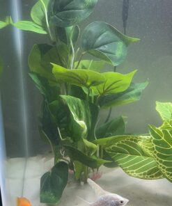 CNZ® Aquarium Fish Tank Green Lifelike Underwater Plastic Plant Aquatic Water Grass Decor (Large, 13-inch) Large, 13-inch 27 71OnkclwkL