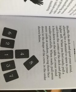 Crow Tarot 51 71OqdFzuYVL