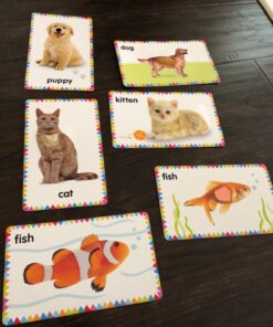 My First Touch and Feel Picture Cards: Animals (My First Board Books) 49 71OrIlei5nL
