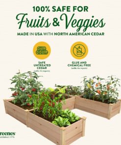 Greenes Fence Premium Cedar Raised Garden Bed, 8' x 8' x 16.5" U-Shaped Bed - Made in USA with North American Cedar 8' x 8' x 16.5" WithOUT CritterGuard Fencing 14 71OrvZDjnAL
