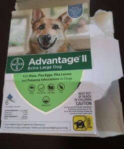 Advantage II XL Dog Vet-Recommended Flea Treatment & Prevention | Dogs Over 55 lbs. | 6-Month Supply 6-Pack 25 71OtKmni8ML