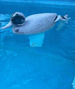 Poolmaster Adustable Chlorine Dispenser for Swimming Pools and Spas, Mallard 26 71OubXqsHZL