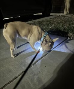 Small Dog Light - Dog Collar Light - Bubbas Leash Light - 2 Per Pack - Dog Walks & Backyard Monitoring. Attaches to Leash, Dog Collar, Harness. Small & Large Dogs. (Stealth Black) Bubba's Leash Light 34 71OvIWW92CL