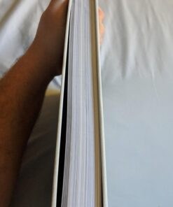 The Legend of Zelda: Breath of the Wild--Creating a Champion 38 71Ow1J9iIOL