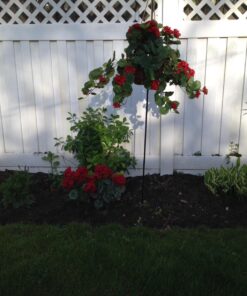 Nearly Natural 6609-RD 24in. Geranium Hanging Basket Silk Plant,Red,10.25" x 10.25" x 17.5" Red 34 71OxCyS GL