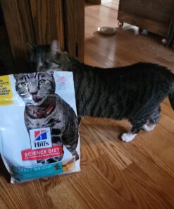 Hill's Science Diet Dry Cat Food, Adult, Perfect Weight for Healthy Weight & Weight Management, Chicken Recipe, 3 lb. Bag 3 Pound (Pack of 1) 39 71Oz5fEeiNL 1