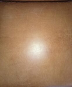 Chamberlain’s Leather Milk Furniture Treatment - All-Natural Leather Cleaner, Leather Conditioner for Couches and Living Room Furniture No 5, 6 Oz 64 71P J7vVM8L