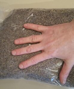 TMT Lavender Flowers Ultra Blue Grade, 1/2 lb 25 71P zS5oGoL