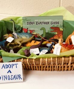 Boley 14 Pk Dinosaur Toys for Kids with Educational Pamphlet - 9" Long Dinosaur Toy Figures for Boys & Girls Ages 3+ 14 Pack + Dino Pamphlet 65 71P0C2P2XsL 1