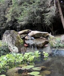 Pond Armor SKU-BLACK-QT-R Non Toxic Pond Shield Epoxy Paint, 1.5-Quart, Black 1.5 Quart 26 71P0KyFKYXL