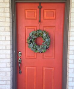 Succulent Rosette Cutting Pack- Brighten Up Your Garden with A Wide Variety of Healthy Rosette Succulent Plants Ready to Be Rooted by Jiimz (25 Pack) 25 Pack 17 71P5YROH6L