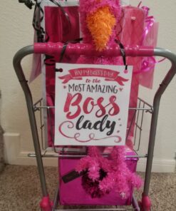 Precious Toys Shopping Cart with Food, Play Grocery Cart with 23 Pieces, Fits 18 inch Baby Dolls, Smooth Rolling Wheels, Folds for Easy Storage, Gift for Kids Ages 2+,Pink & Black 31 71P6812f9xL