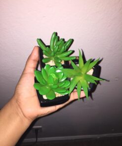 MyGift Set of 3 Faux Succulents in Mini Square Pots - Modern Home Decor Succulent Artificial Plants with Black Ceramic Planter Pot 33 71P6JmXs8yL