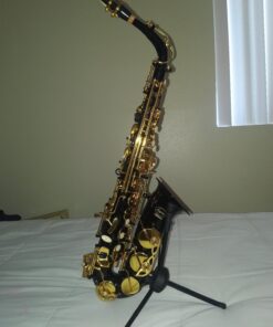 Lazarro Professional Black-Gold Keys Eb E Flat Alto Saxophone Sax, 11 Reeds, Case & Many Extras - 24 COLORS Available - 360-BK BLACK/GOLD Keys 23 71P6t0TIvcL