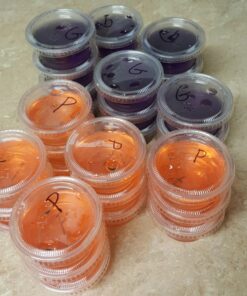 Polar Ice Jello Durable Plastic Shot Glasses, 2-Ounce, Translucent (Pack of 125) 17 71P6tHUvNWL